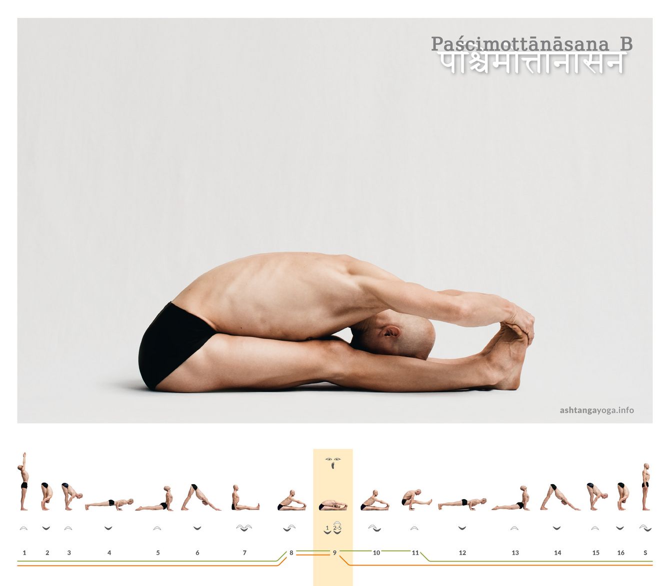 The variant B of the "seated forward bend" the practitioner grasps the feet from over the toes to the soles of the feet - Paschimottanasana.