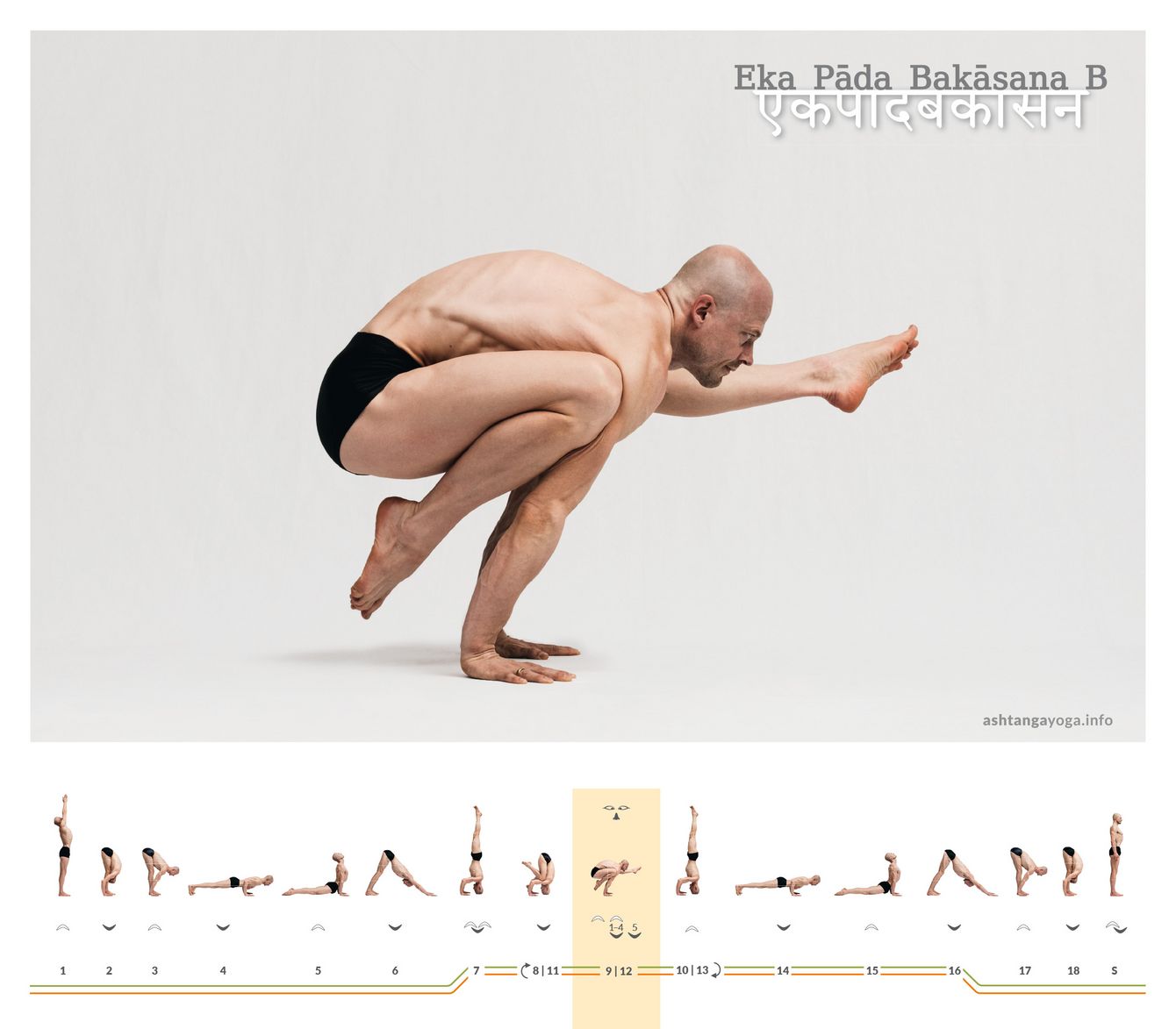 Eka Pada Bakasana, or One-Legged Crow Pose, is, in variation B, an advanced yoga pose balancing on arms. One knee is supported on an elbow and the other leg extended forward.