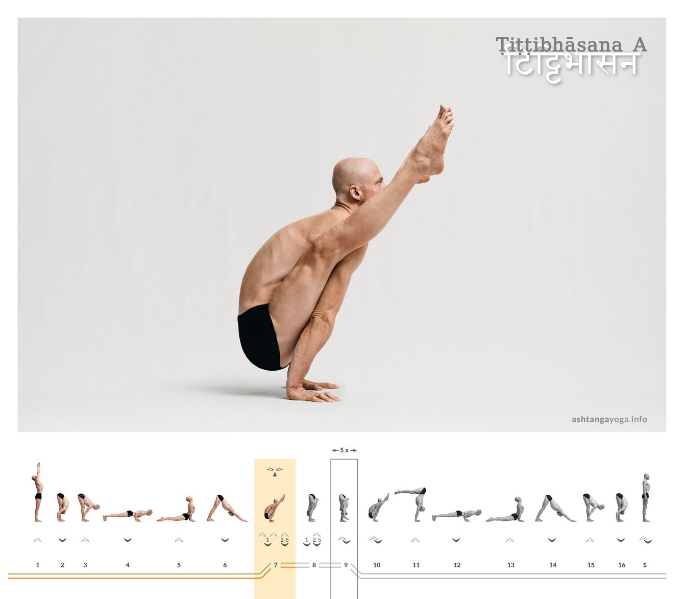 In der ersten Version des “Kiebitz” balanciert der*die Übende auf den Händen. Die Beine sind links und rechts an den Schulterblättern abgestützt und wachsen nach vorne oben - Tittibhasana.