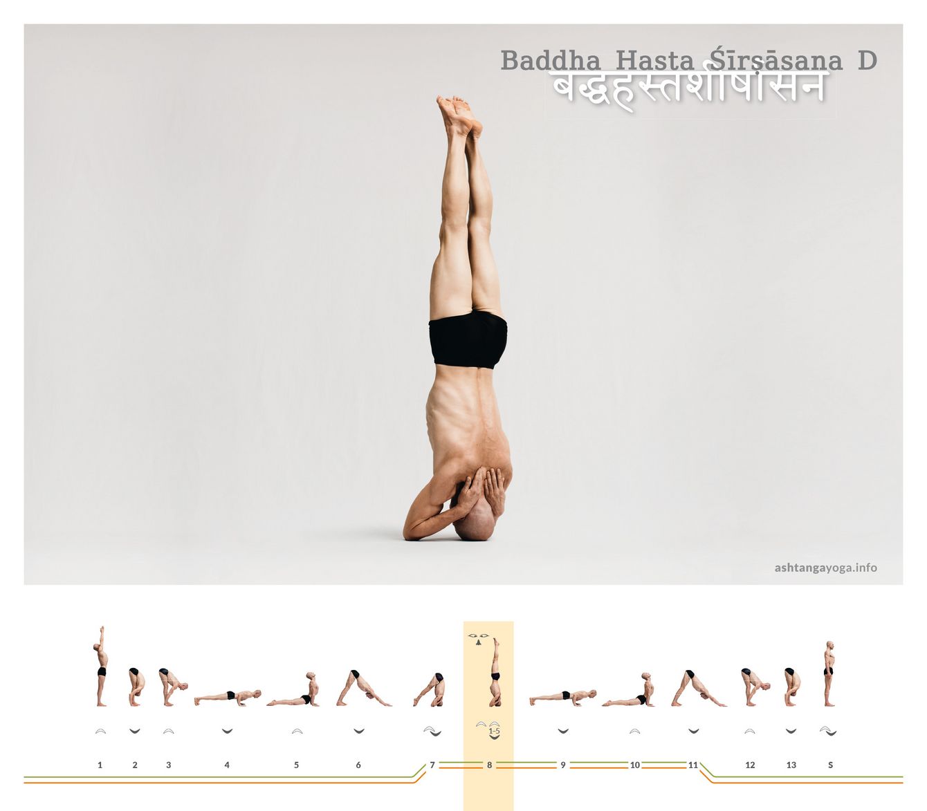 Baddha Hasta Shirshasana D In der vierten Version des “Kopfstandes mit Händen zusammen” werden die Ellenbogen vor dem Gesicht aufgestützt. Die Hände greifen zwischen die Schulterblätter - Baddha Hasta Shirshasana.