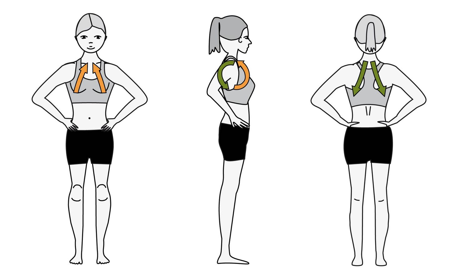Overview of the muscular initial tension carried by the breath