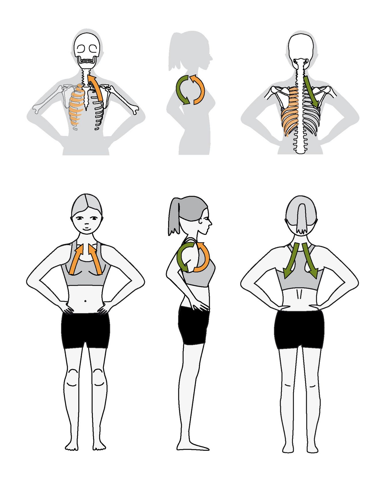 Thoracic Spine (TS) Bandhalign® is based on the techniques of bandha described in the old Hata Yoga texts and merges modern findings from the art of alignment. The idea behind this concept is to cultivate balance on every level of your being - physically, psychologically as well as emotionally. From wherever you start - each purposely taken step towards balance draws it's circles in your entire being.