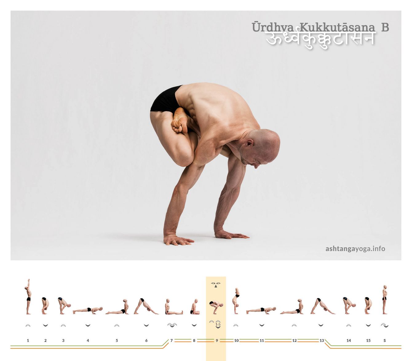 Urdhva Kukkutasana B In the 'Upward-facing Rooster' pose version B (Urdhva Kukkutasana B), energy is directed upwards while the legs in lotus balance on the upper arms. This variation requires heightened attention and a fine sense of balance.