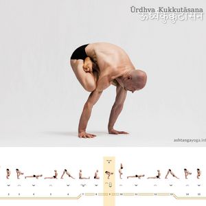 Urdhva Kukkutasana B