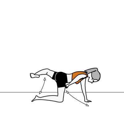 Transves stretch