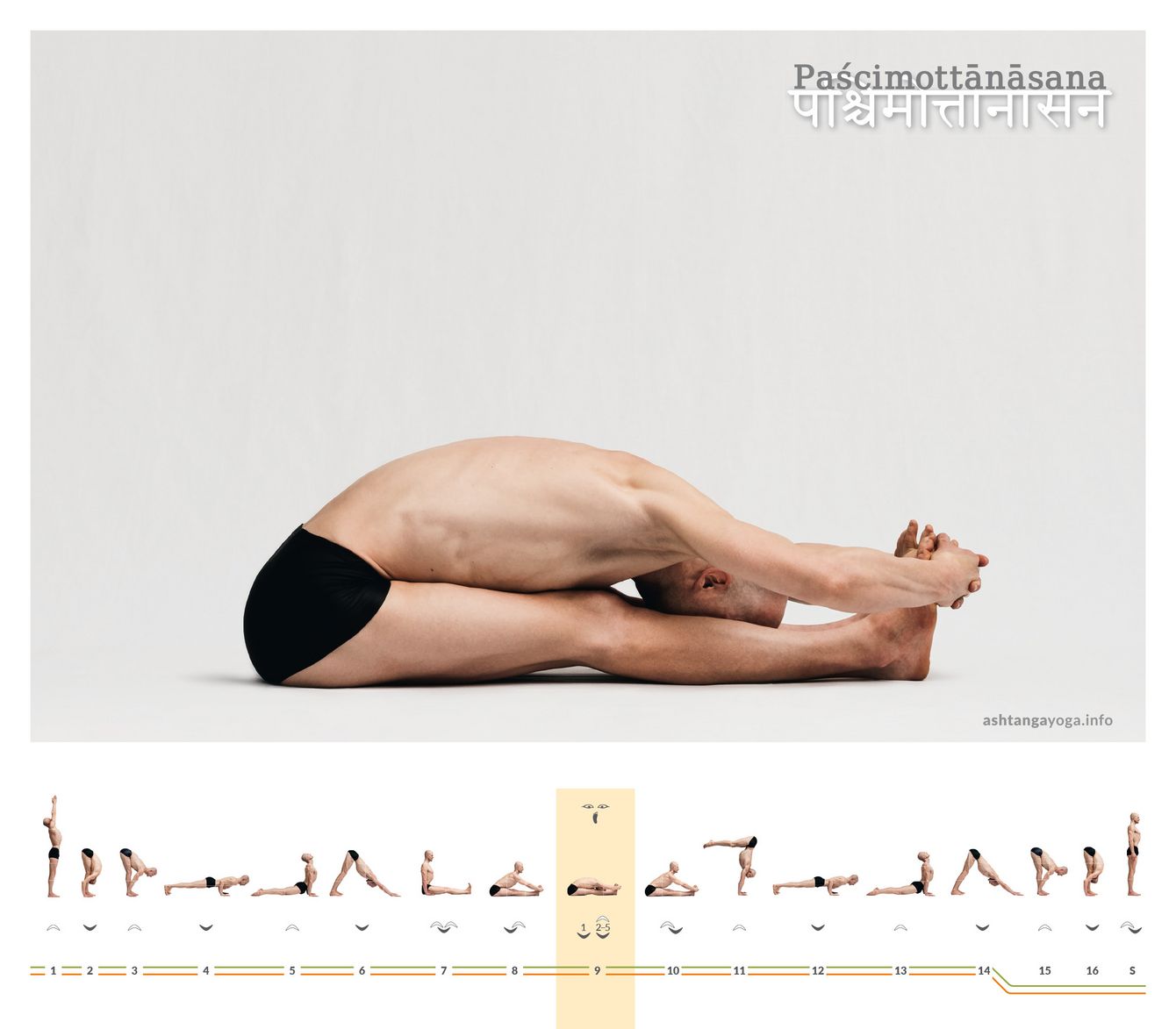 Pashchimottanasana An dieser Stelle der Serie des Ashtanga Yoga ist die „Sitzenden Vorbeuge“ die Gegenhaltung zur vorherigen intensiven Rückbeuge - Paschimottanasana.