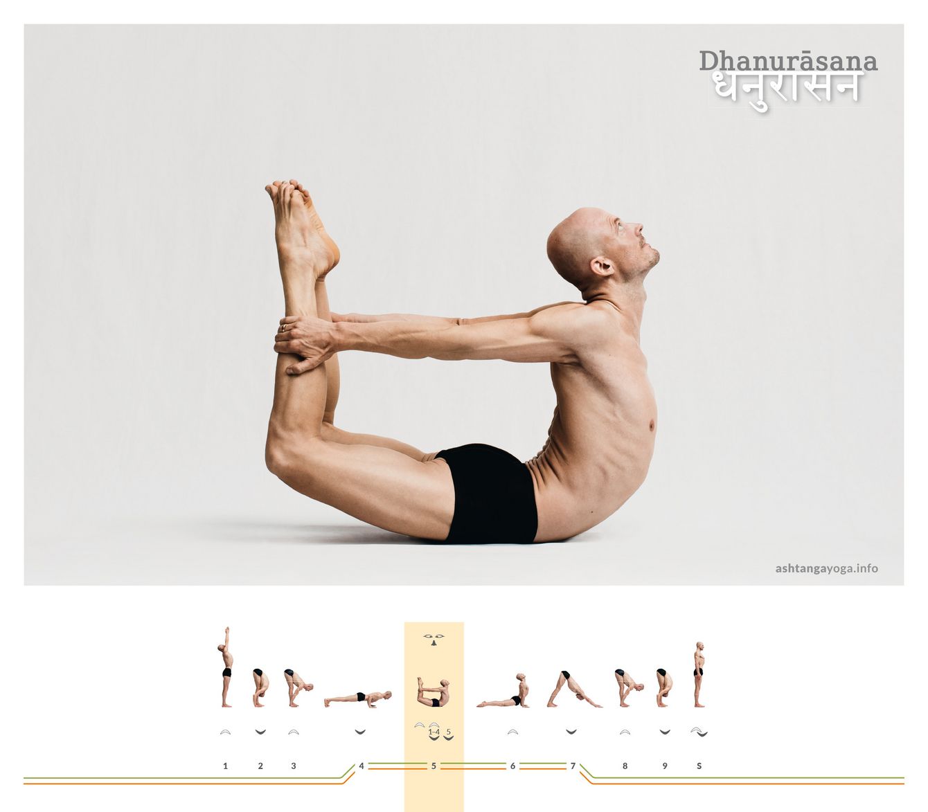 Der “Bogen” ist eine auf der Bauchlage aufbauende Rückbeuge. Die Hände fassen die Schienbeine. Die Arme sind durch den Körper gespannt, wie eine Bogensehne durch den Bogen - Dhanurasana.