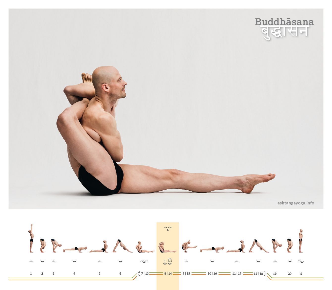One leg not only goes behind the head, but behind the opposite shoulder: Buddhāsana demands deep hip opening and shoulder mobility. The posture becomes stable when you create space in the hip and keep the spine long.