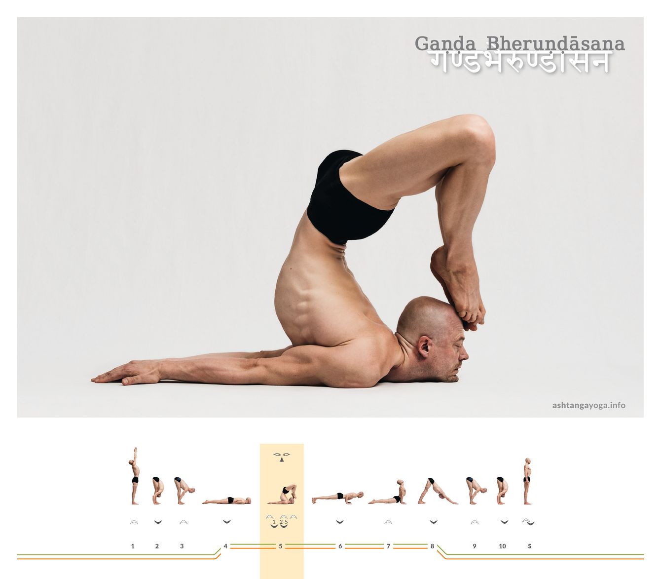 From a prone position, place the feet beside the head: Gaṇḍa Bheruṇḍāsana demands a deep backbend and calm control. It creates an intense openness of the heart space and a stable foundation.