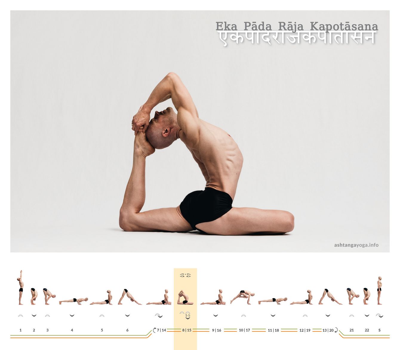 One leg folds forward, the other arcs back like a bow: Eka Pāda Rāja Kapotāsana unites hip opening, backbending, and shoulder work into one clear shape.