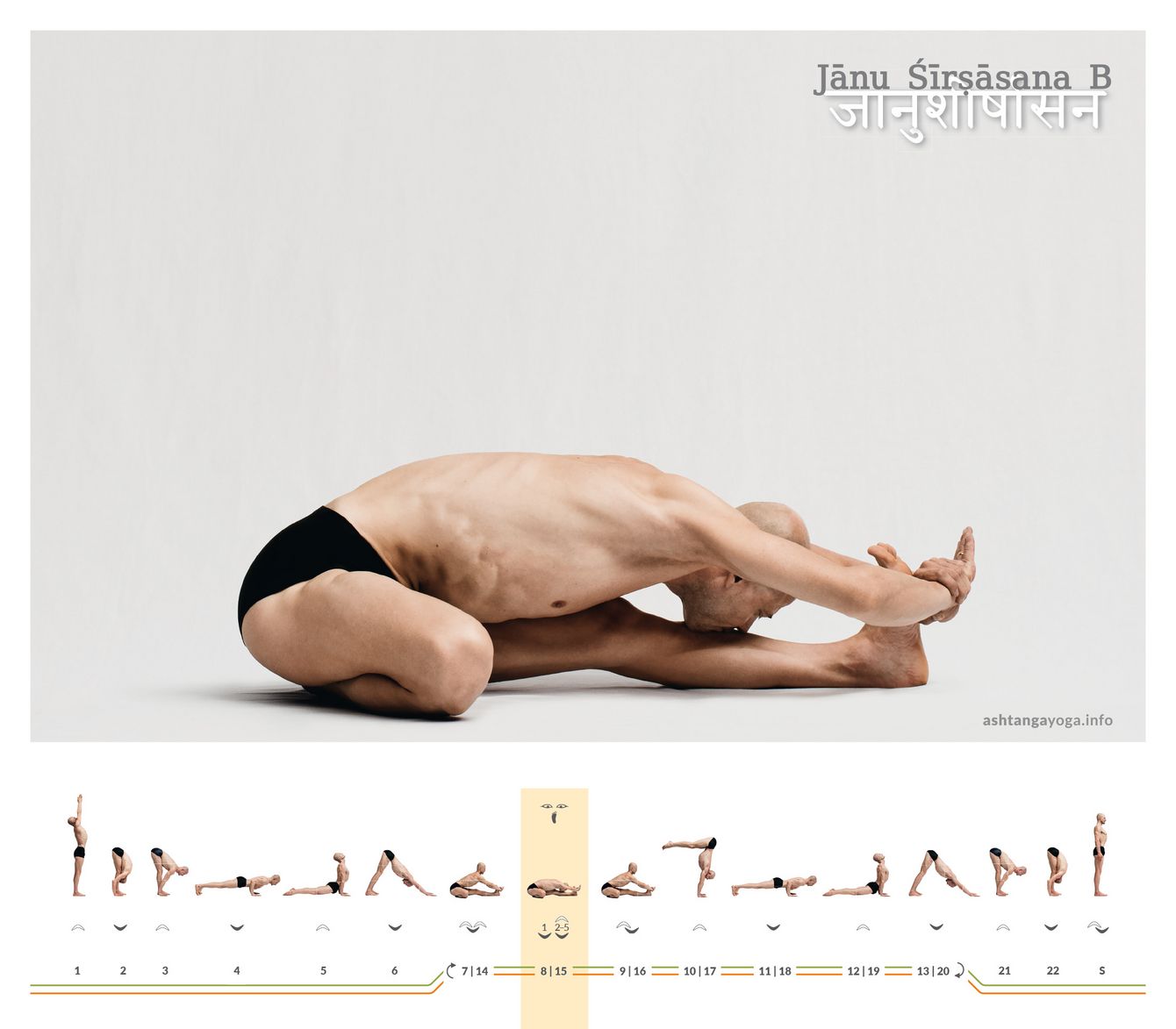 Janu Shirshasana B In the second variant of the “Head and Knee pose” the practitioner sets the perineum directly on the heel of the bent leg. This same foot points straight ahead under the thigh of the bent leg - Janu Shirshasana B.