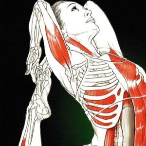 Yoga Anatomy