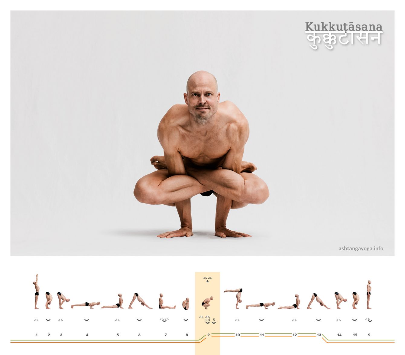 Kukkutasana Der “Hahn”, Kukkutasana ist eine Armbalance, bei der die Arme durch einen Lotussitz hindurch nach unten stützen.