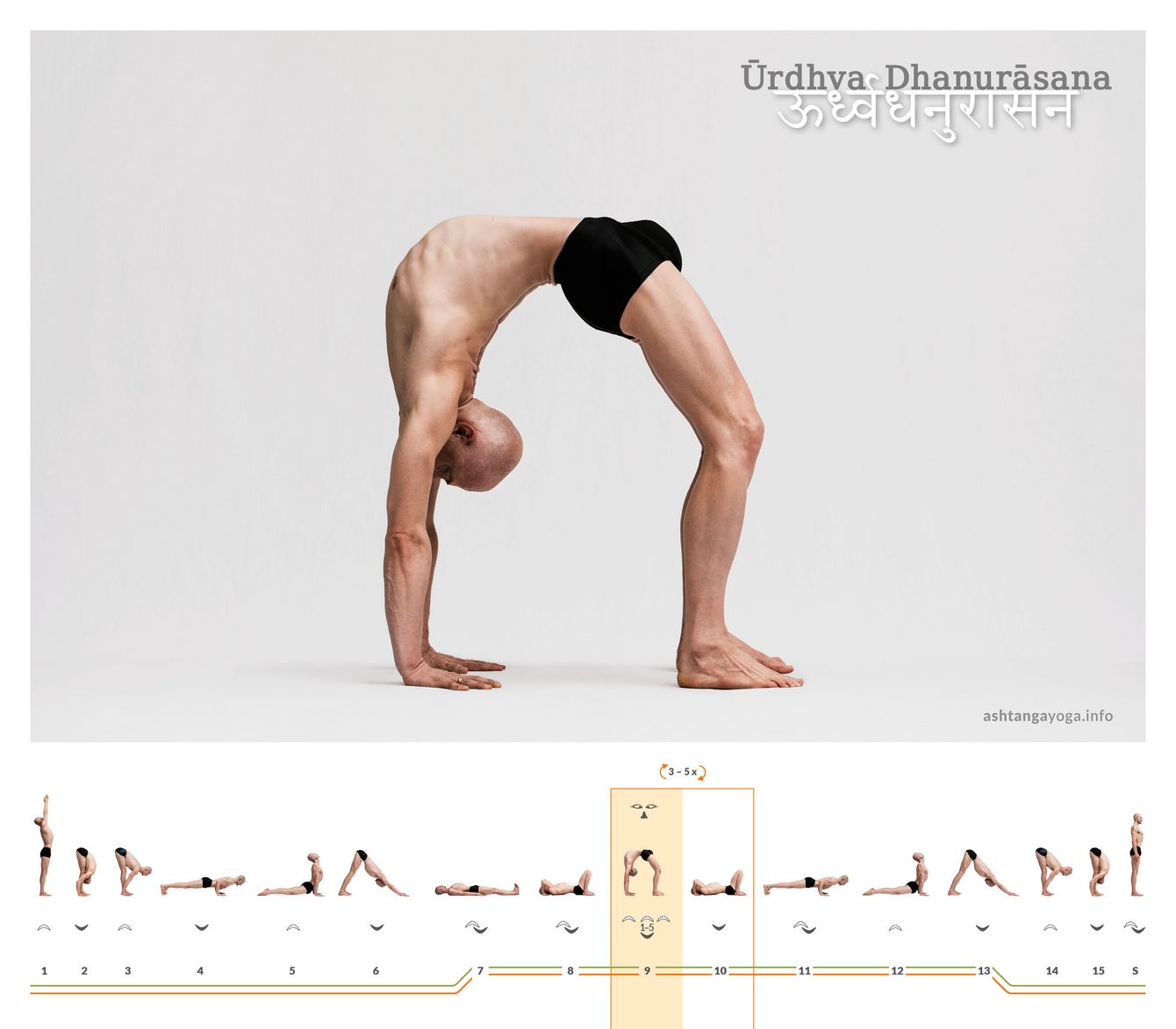 Urdhva Dhanurasana ist eine Rückbeuge mit nach oben weisender Körpervorderseite. Nur die Hände und Füße berühren den Boden - nach oben gerichteter Bogen. 