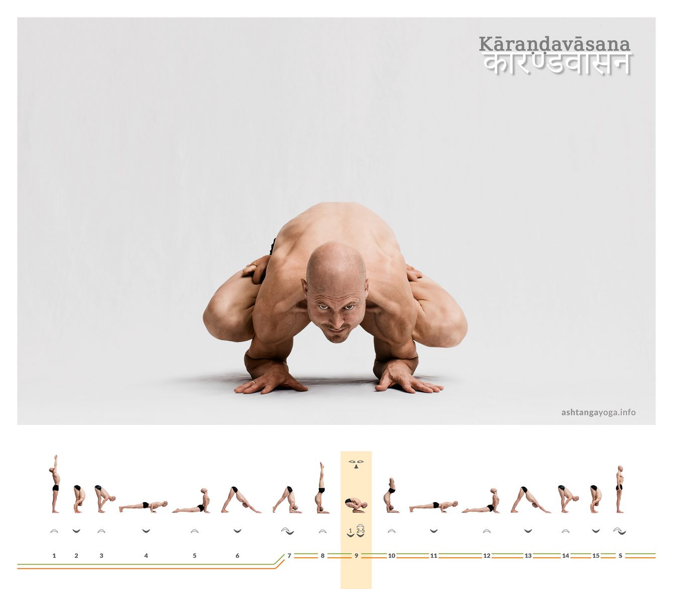 Karandavasana Die “Himalaya Flugente” entwickelt sich aus dem Unterarmstand. Die Beine sind nun im Lotus gefaltet. Der Körper ist klein zusammengerollt und die Knie in den Achselhöhlen abgestützt - Karandavasana.