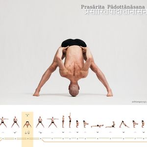 Prasarita Padottanasana B