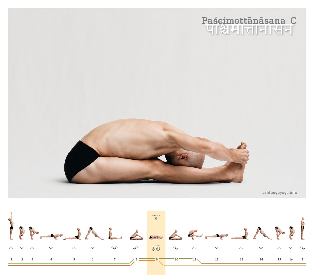 Pashchimottanasana C In the third variant of the "seated forward bend" (paschimottanasana), the hands grab the outer edges of the feet and the thumb wraps across the base of the toes to the big toe.