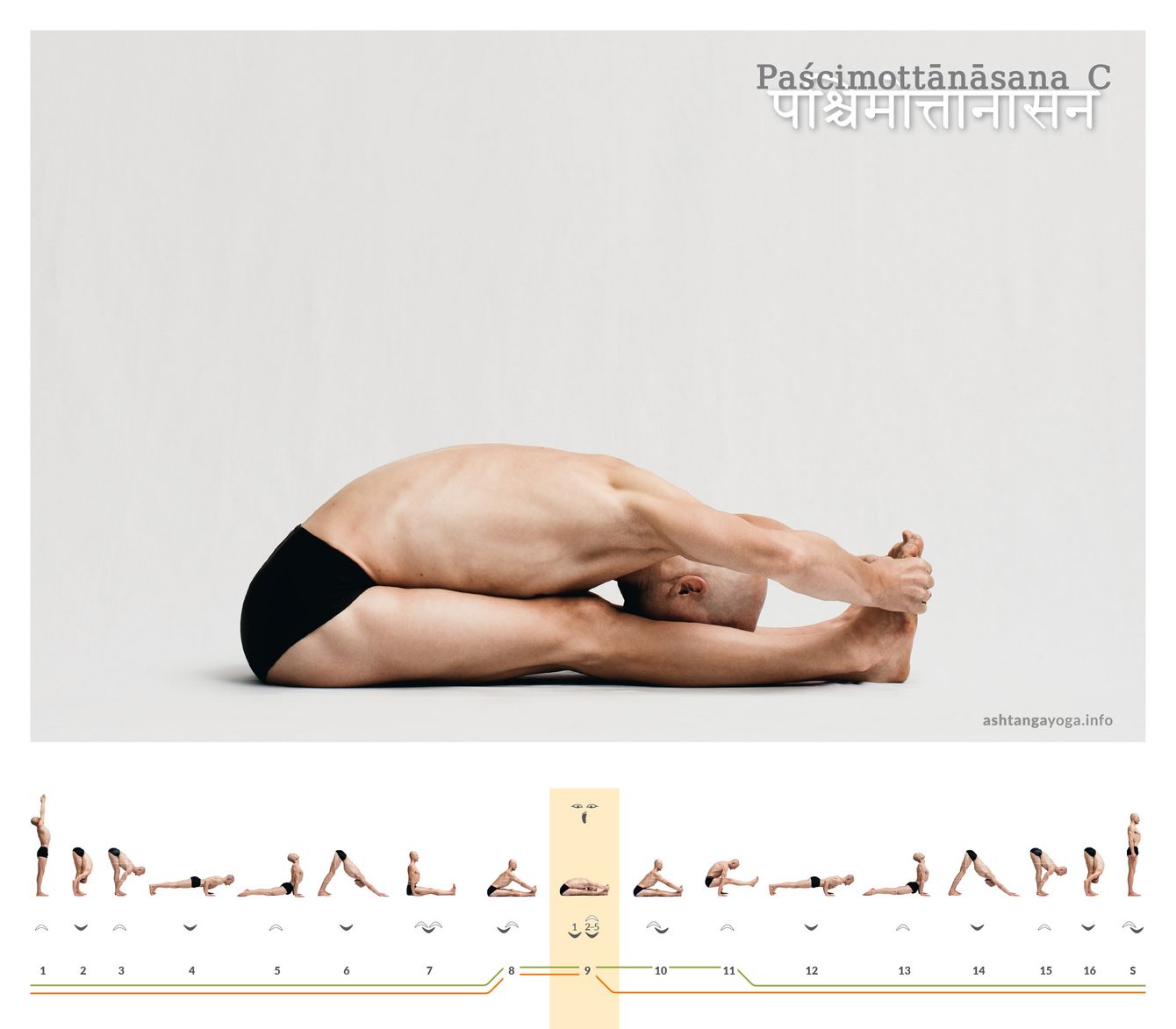 In der dritten Version der „Sitzenden Vorbeuge“ (paschimottanasana) greifen die Hände von der Seite die Fußaußenkanten, während der Daumen auf dem Großzehengrundgelenk platziert ist.