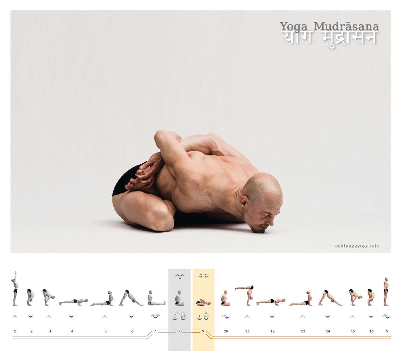Das “Yogasiegel”  ist eine Vorbeuge im Lotussitz. Die Hände fassen mit hinter dem Rücken überkreuzten Armen zu den großen Zehen - Yoga Mudrasana.