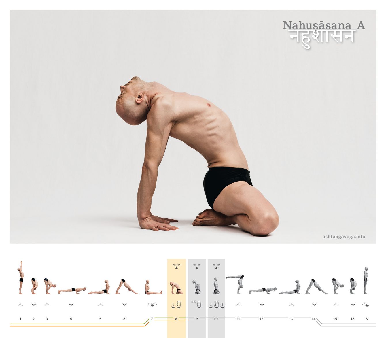 Like Mūla Bandhāsana, Nahuṣāsana A is built on the same foundation. Here, however, the hands support behind the back and the gaze lifts upward. This symbolizes alignment with a higher ideal.