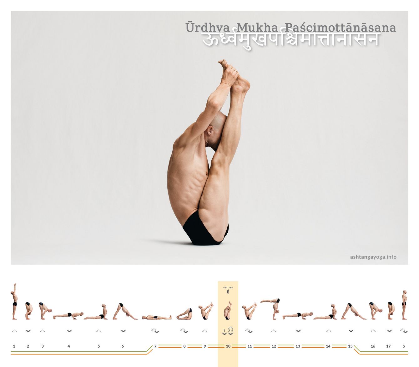 Urdhva Mukha Paschimottanasana ist eine Vorbeuge mit geschlossenen Beinen, wobei der gesamte Körper nach oben weist, während Du auf dem Becken balancierst - nach oben gerichtete Dehnung der Körperrückseite.