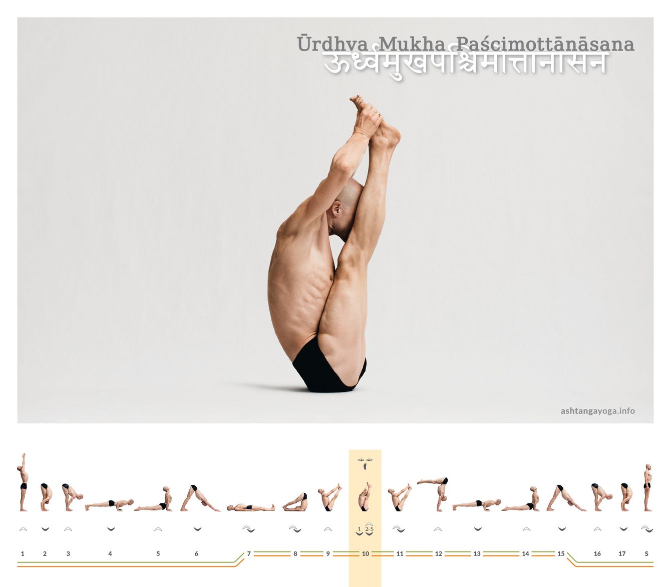 Urdhva Mukha Pashchimottanasana Urdhva Mukha Paschimottanasana ist eine Vorbeuge mit geschlossenen Beinen, wobei der gesamte Körper nach oben weist, während Du auf dem Becken balancierst - nach oben gerichtete Dehnung der Körperrückseite.