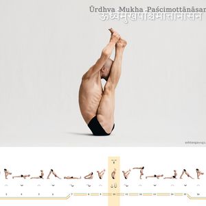 Urdhva Mukha Pashchimottanasana