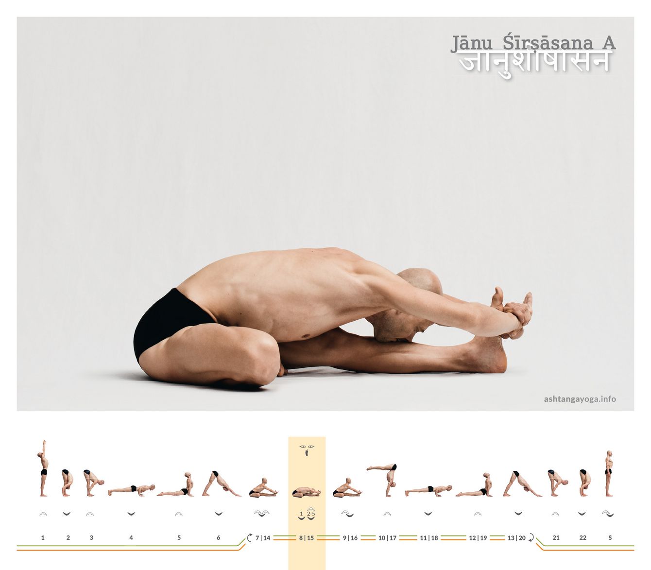 The “Head and Knee pose” is an asymmetrical seated pose. One leg is extended and the other is bent with the sole of the foot on the inner thigh of the straightened leg  - Janu Shirshasana A.