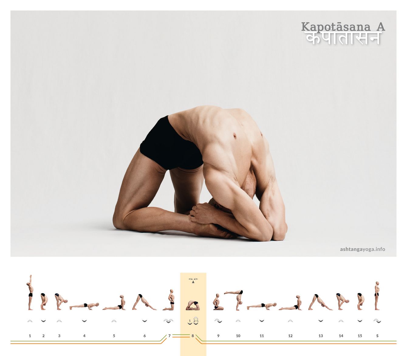 Kapotasana A Die “Taube” ist eine Rückbeuge aus dem hohen Kniestand. Die Brust wölbt sich nach oben. Die Hände fassen über den Kopf hinweg zu den Fersen. Die Ellenbogen stützen sich hinter den Füßen auf dem Boden ab - Kapotasana.