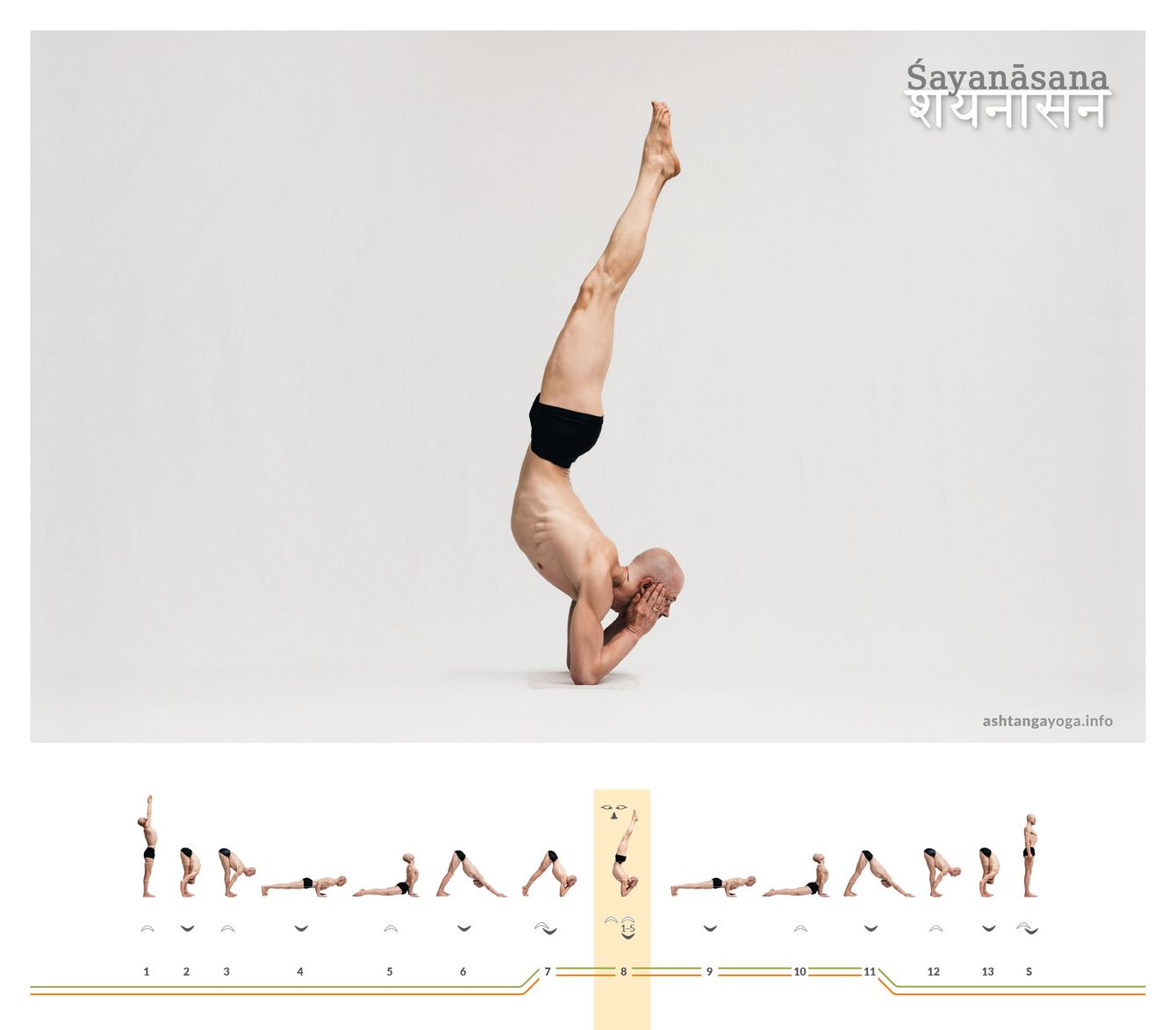 From forearm balance into a seemingly “quiet” vertical line: Śayanāsana requires stability in the shoulder girdle and a clear axis so that balance arises from calm.