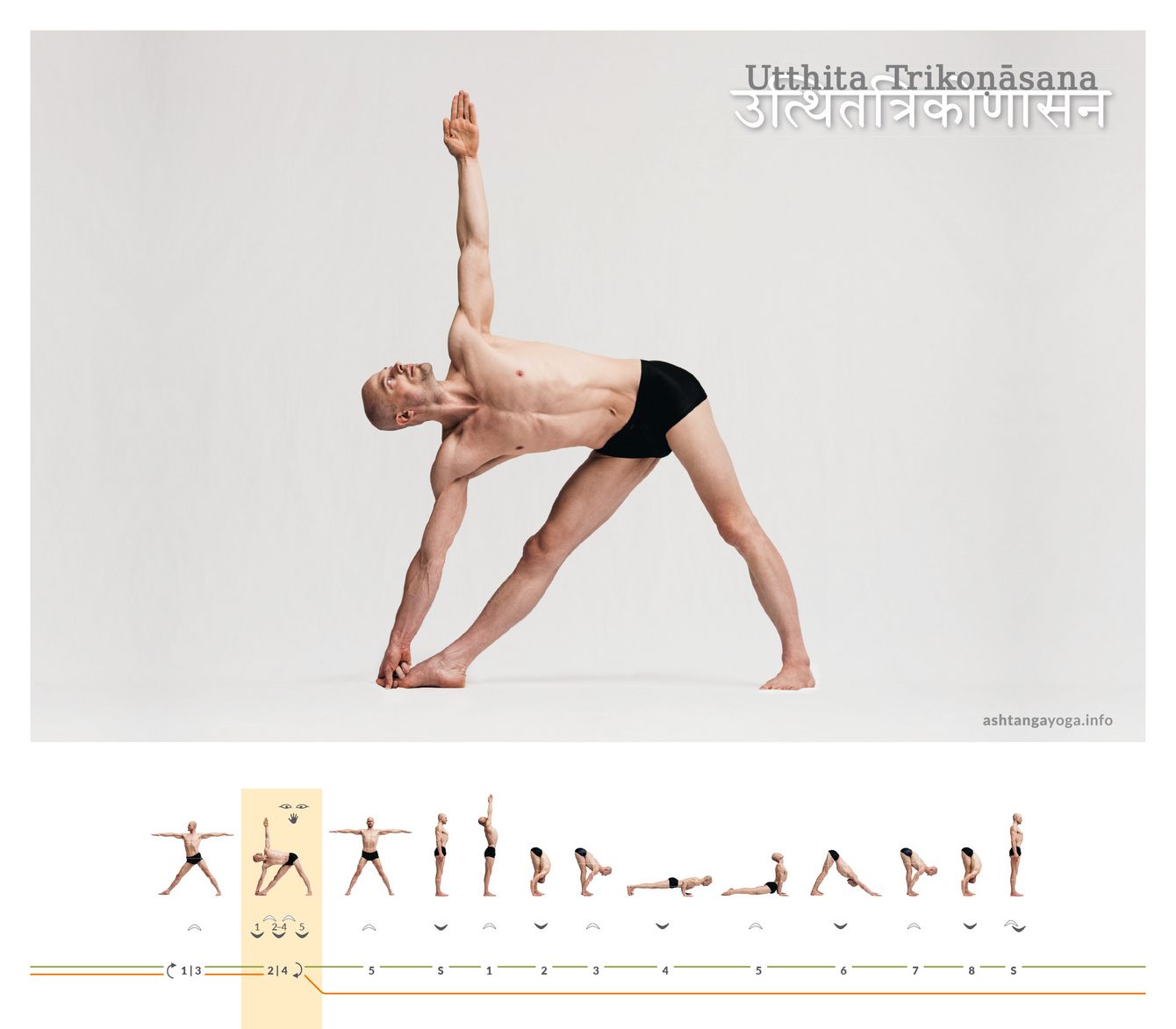 Die “Haltung des Dreiecks” ist eine stehende Haltung, bei der die Beine mit dem Boden ein Dreieck bilden. Zwischen dem horizontalen Oberkörper und den senkrechten Armen entstehen weitere Dreiecke - Utthita Trikonasana.