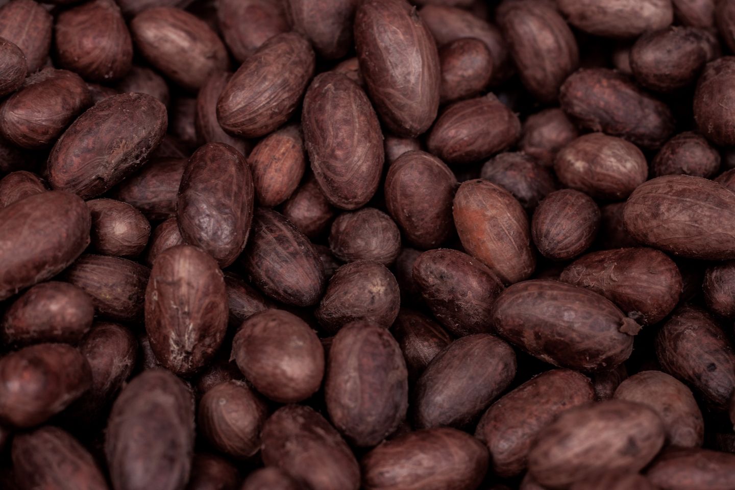 Aus hochwertigen Criollo Kakaobohnen