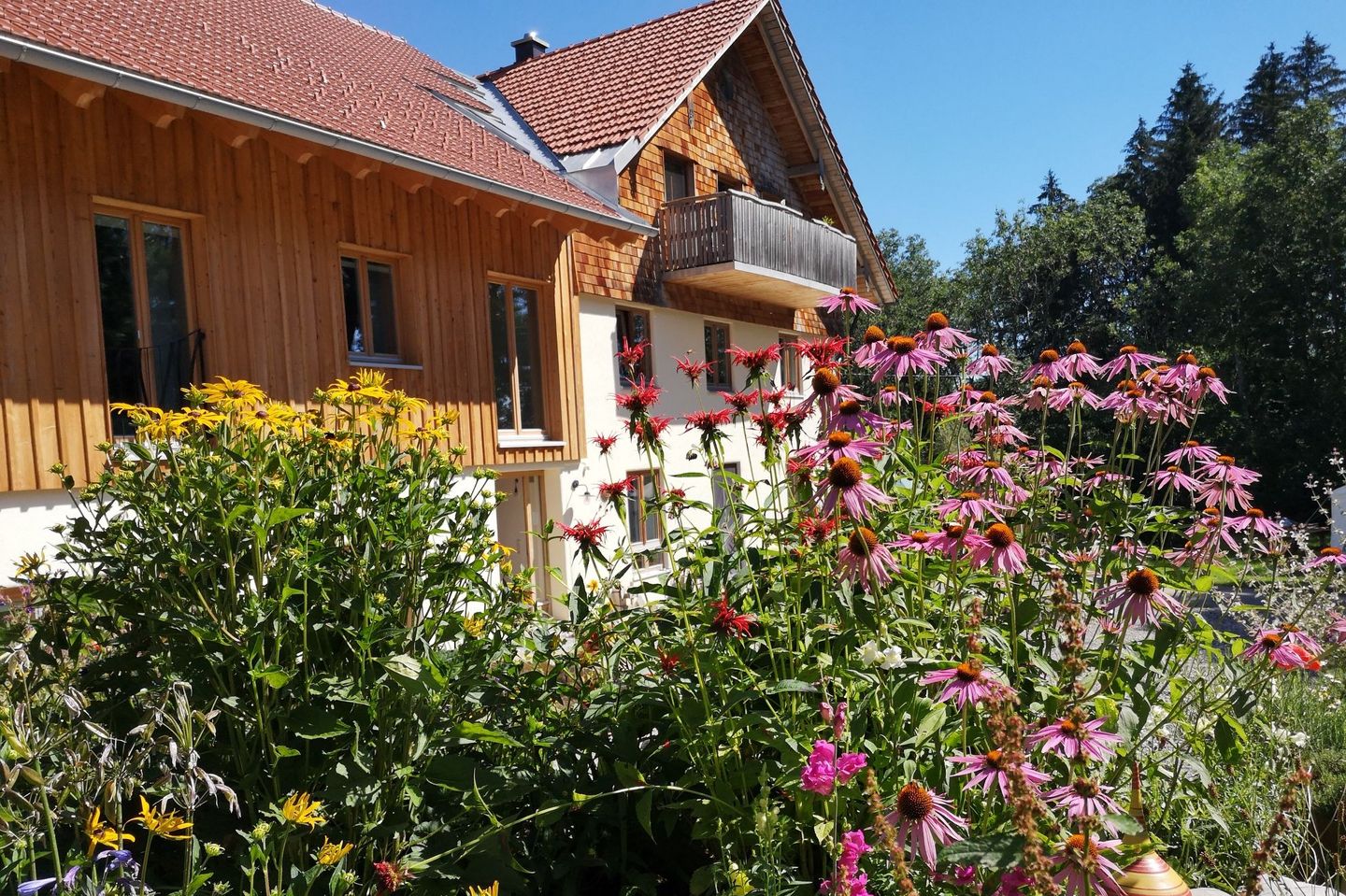 Inmitten einer idyllischen Naturlandschaft