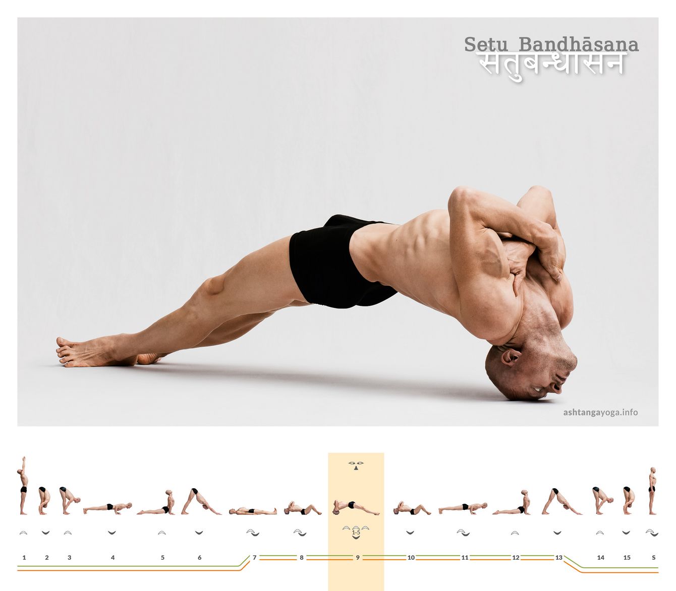 Die “Gespannte Brücke”, Setu Bandhasana, ist eine Rückbeuge mit der Körpervorderseite nach oben gerichtet. Dabei tragen lediglich die Füße und die Schädeldecke den Körper. 