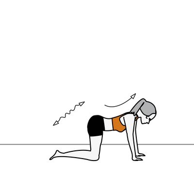 Inhale Bend back upward and relax the back
