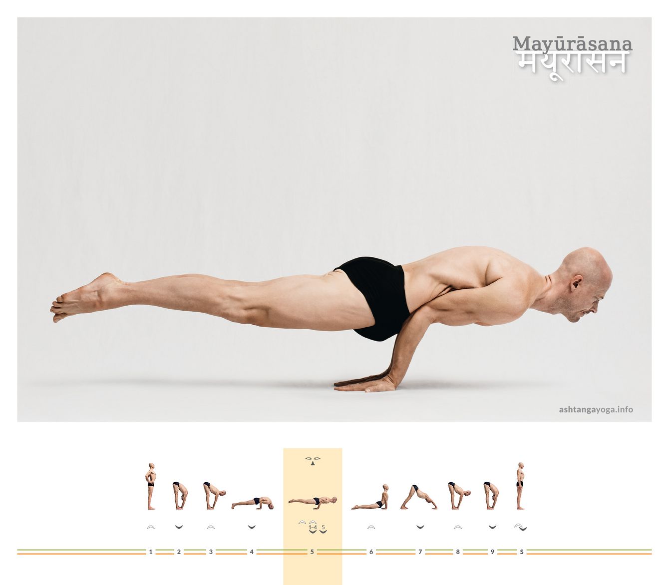 Im “Pfau” sind die Hände nach hinten weisend auf dem Boden aufgestützt. Der Körper balanciert horizontal und gestreckt auf den gebeugten Ellenbogen - Mayurasana.
