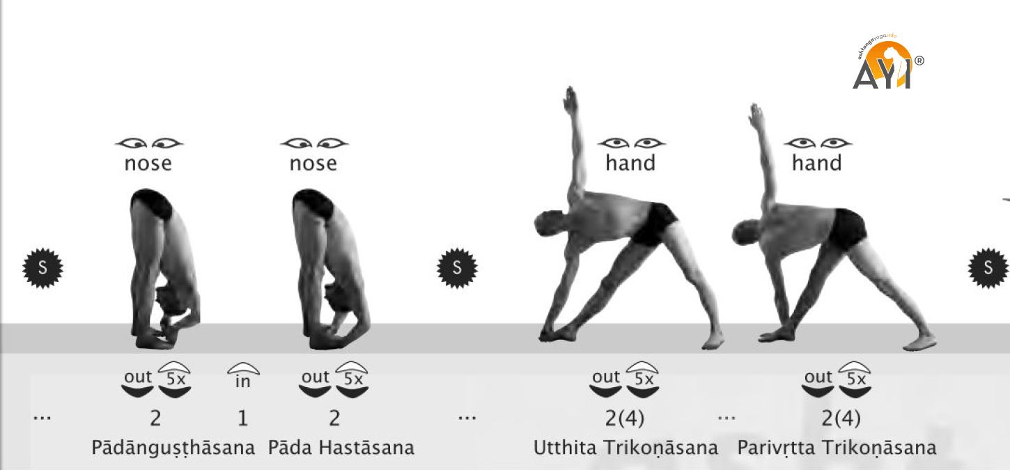 Yoga Poses Vinyasa Chart