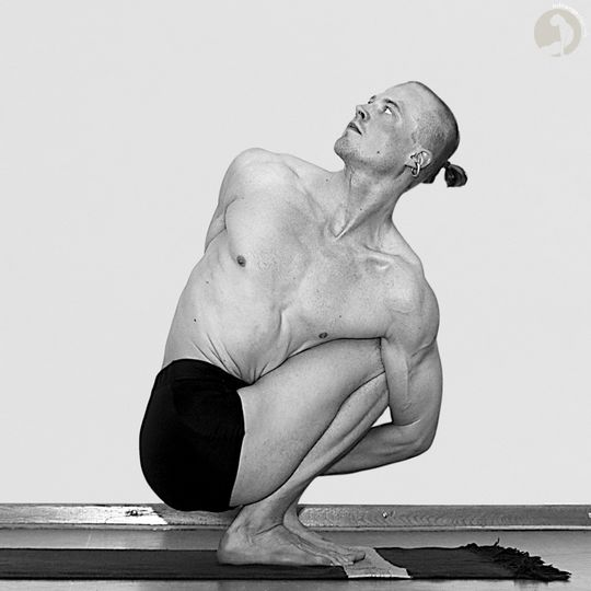 Pashasana