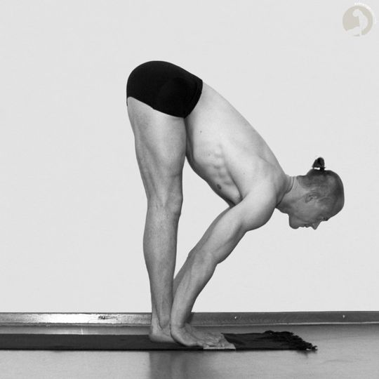 Uttanasana [B]