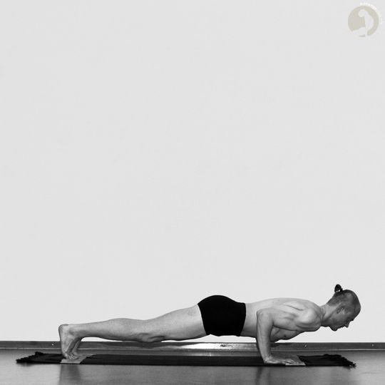 CHATURANGA DANDASANA - Yoga Planet