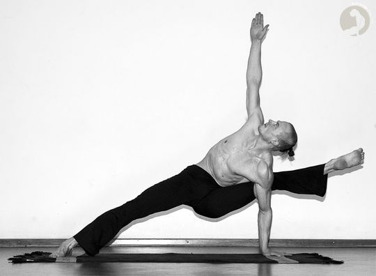 Vishvamitrasana