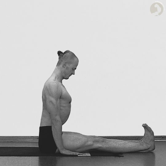 Dandasana