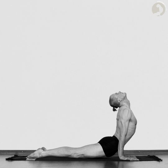 Urdhva-Mukha-Shvanasana