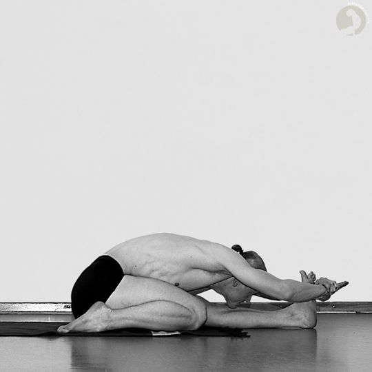 Tiryam-Mukha Eka-Pada Paschimottanasana