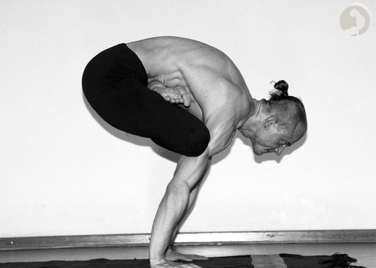 Urdhva  Kukkutasana [B]