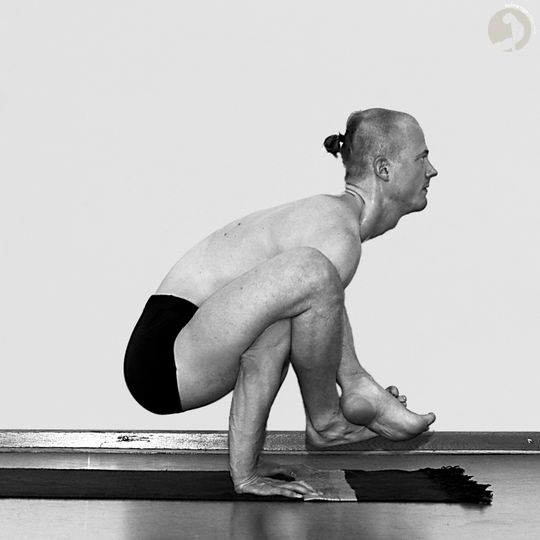 Way into the Posture
