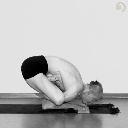 Karandavasana