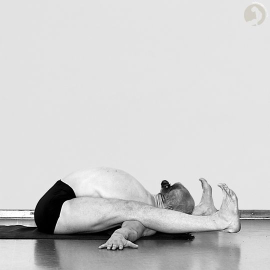 Kurmasana
