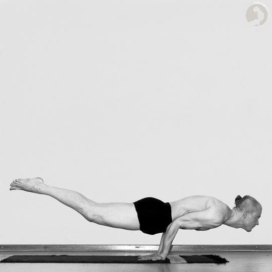 Mayurasana