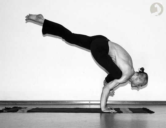 Galavasana